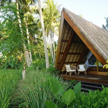 Coconut Corner - Rice Field Dome Villa